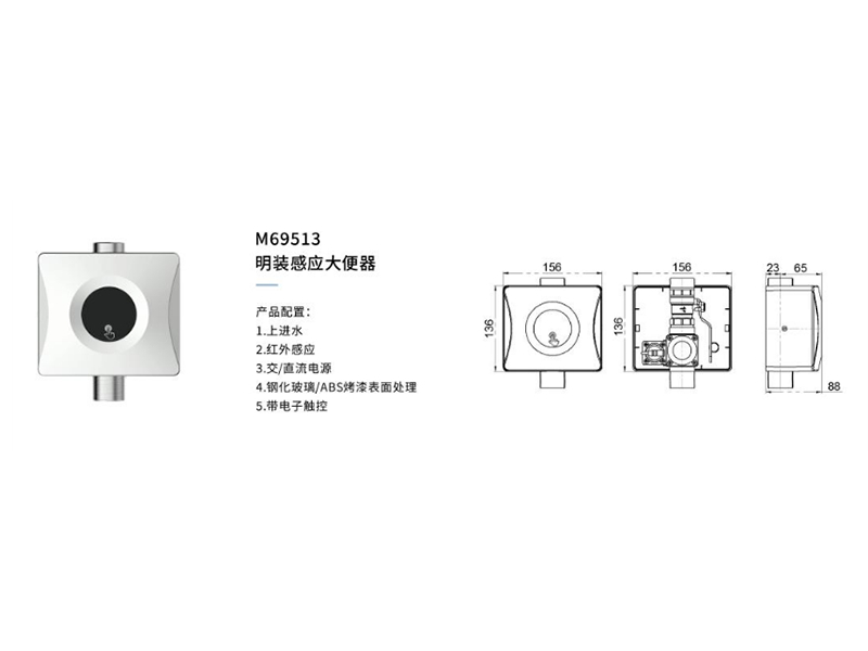 明裝(zhuāng)感應大便器M69513